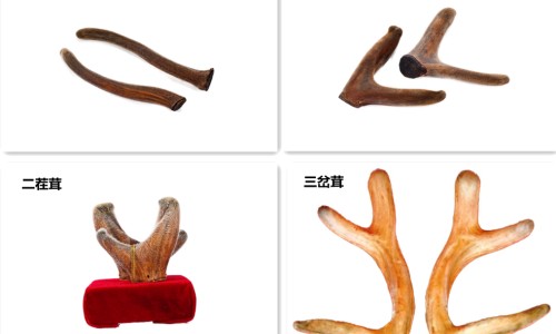 康星葡维氨糖胶囊售卖网- 葡萄糖氨糖胶囊知识,分享康星葡维氨糖胶囊售卖地址