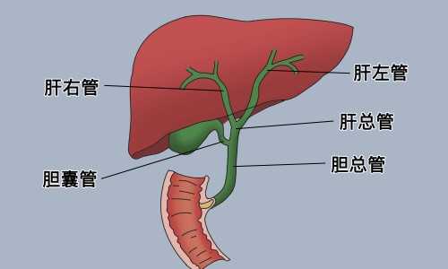 康星葡维氨糖胶囊售卖网- 葡萄糖氨糖胶囊知识,分享康星葡维氨糖胶囊售卖地址